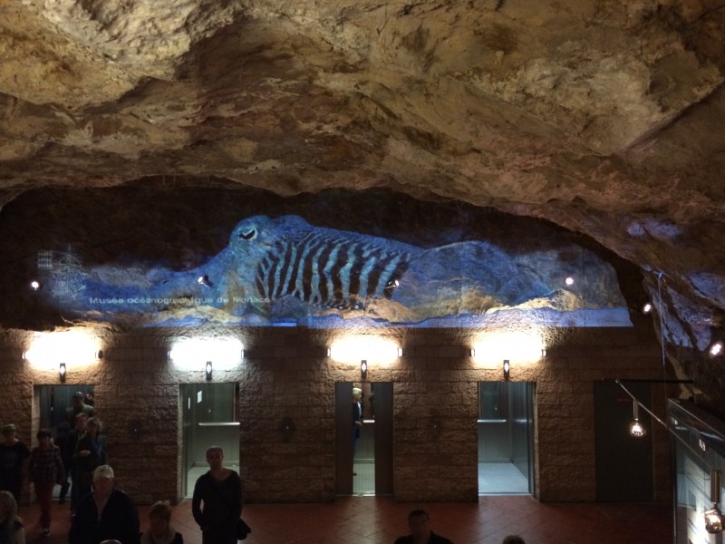 Mise en place projection vidéo